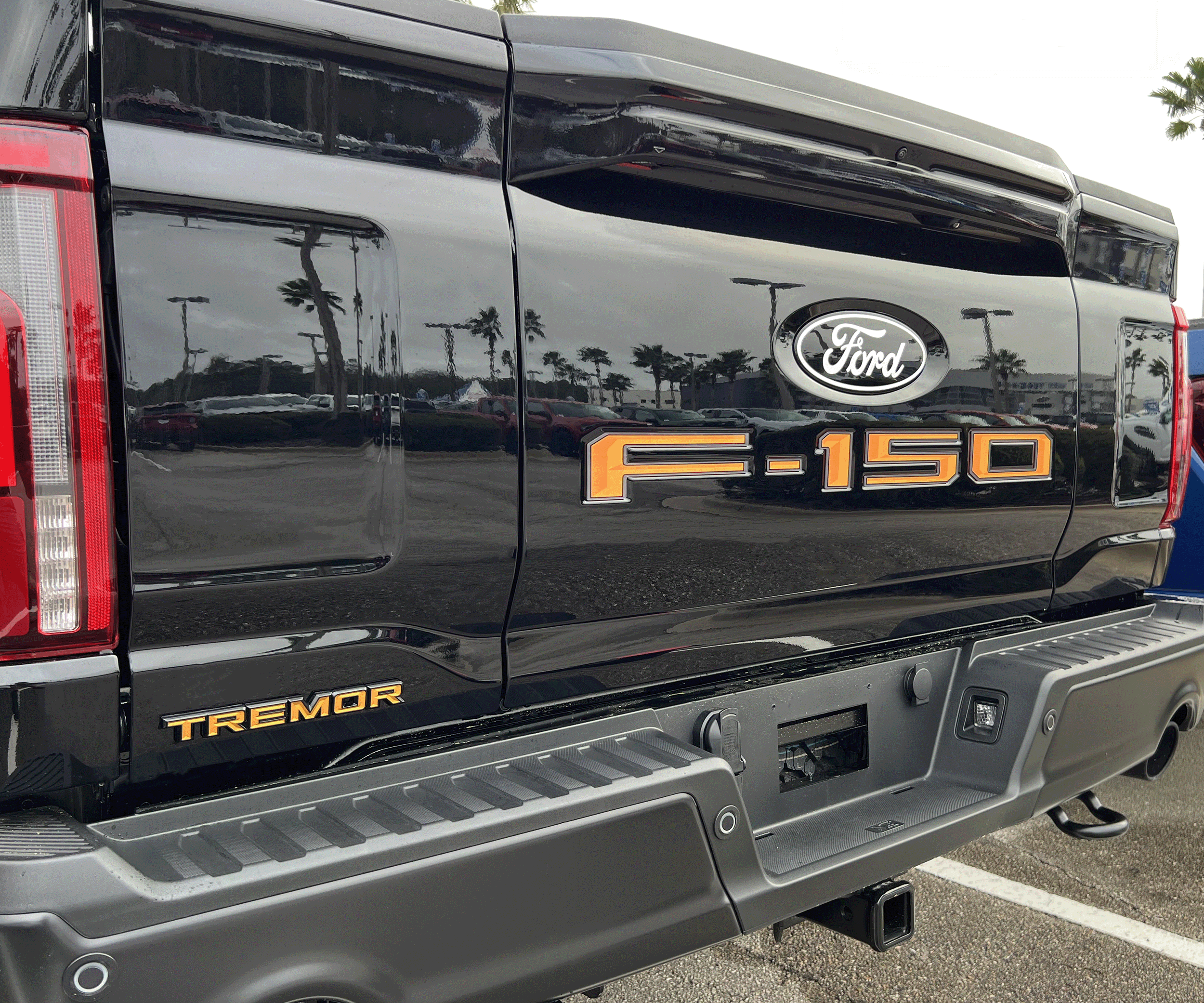 2024-Current Ford F-150 Pro Access Tailgate Lettering Kit