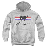 FORD BRONCO/BRONCO STRIPES