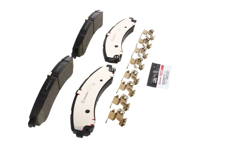 Photo - Close Up
