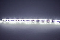 SSR Windjammer Lit Personalized Deluxe