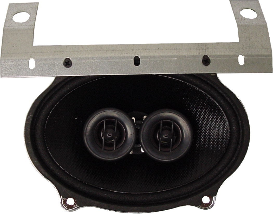 Custom Autosound 4013 DVC dual voice coil speaker