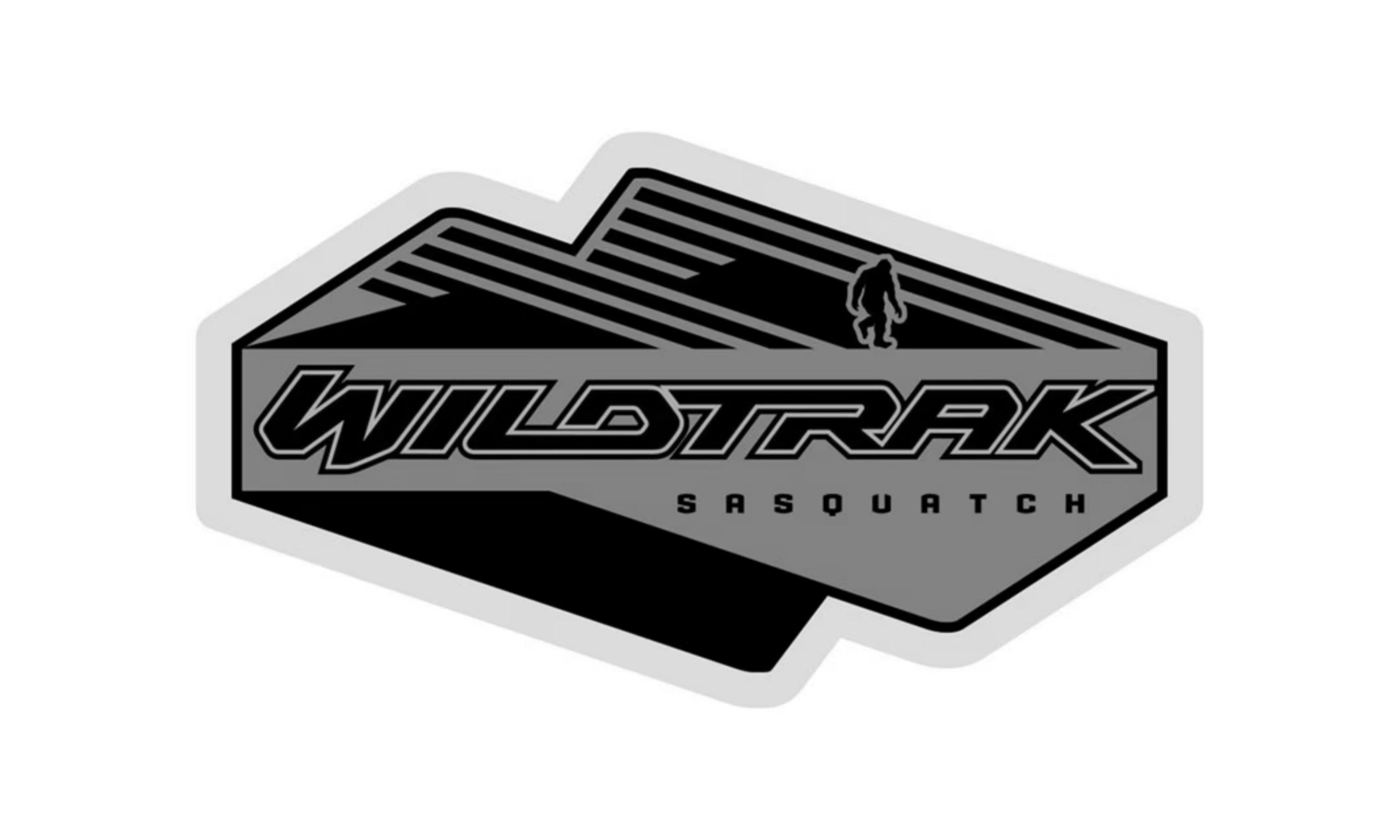 Ford Licensed Bronco WindRestrictor