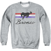 FORD BRONCO/BRONCO STRIPES