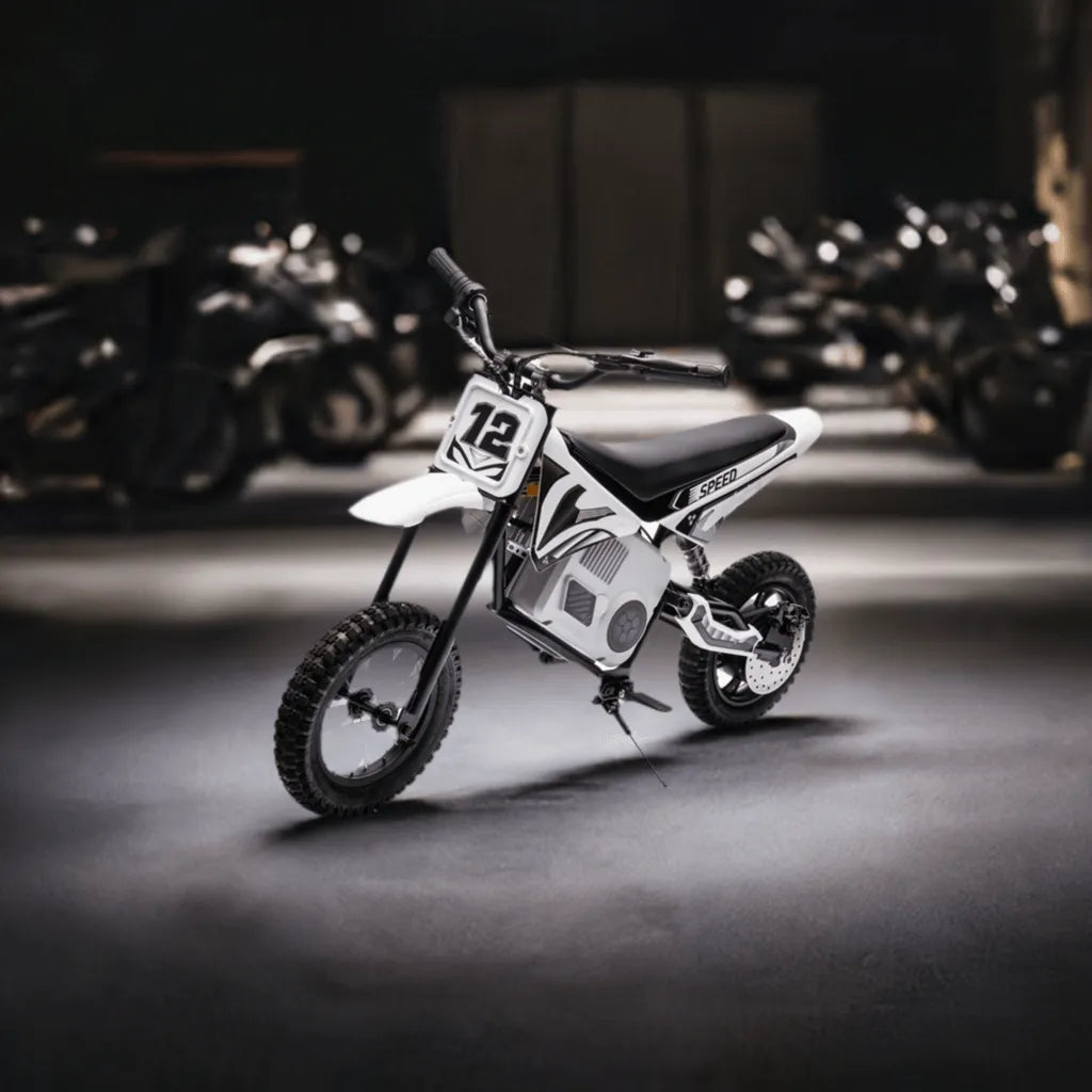 Freddo 36V Electric Dirt Bike with Brushless Motor