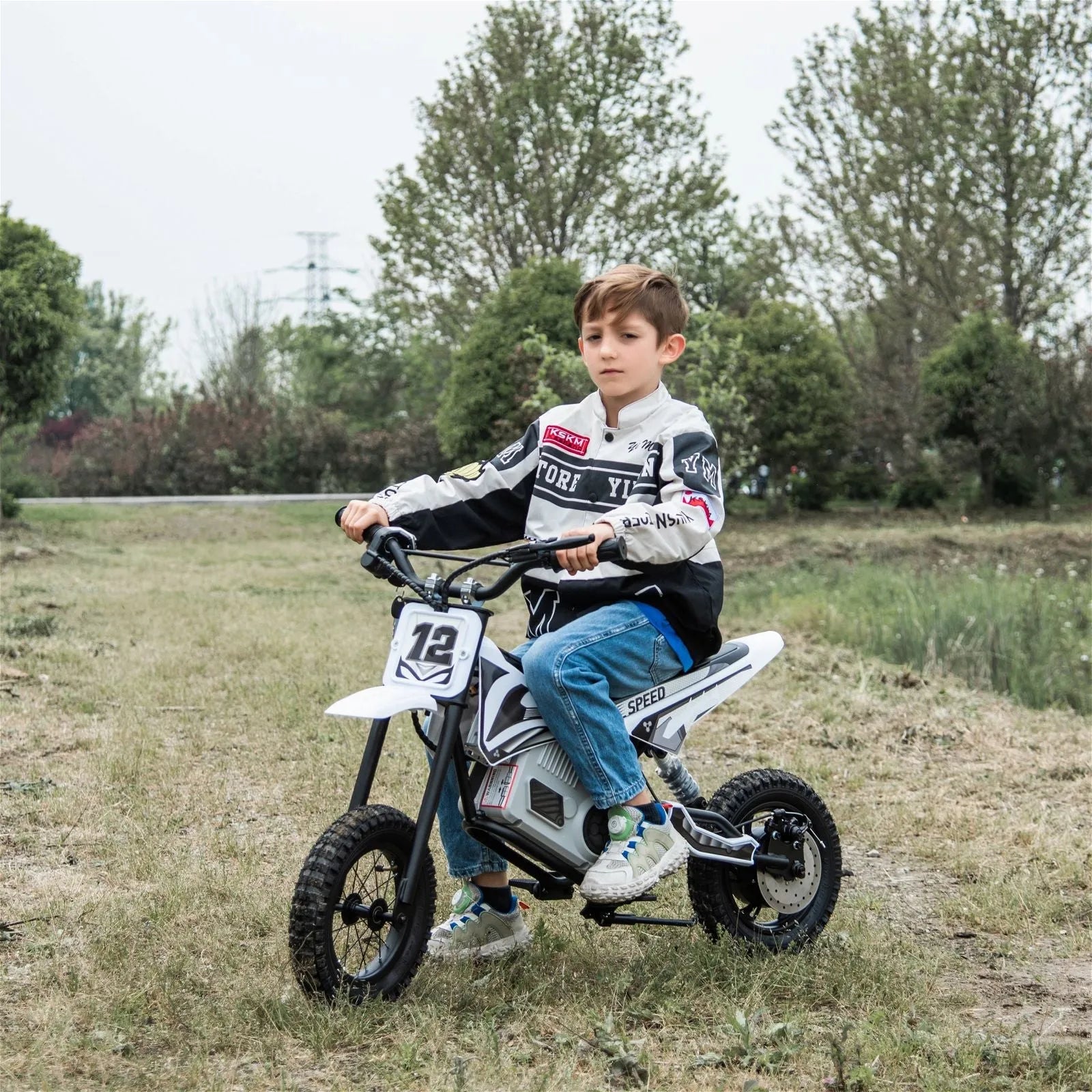 Freddo 36V Electric Dirt Bike with Brushless Motor
