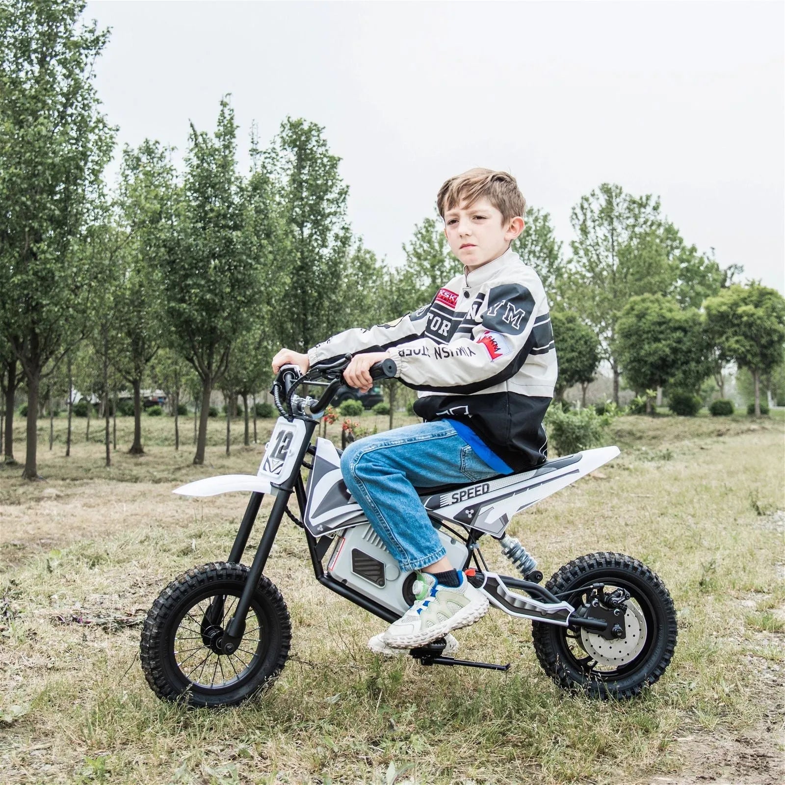 Freddo 36V Electric Dirt Bike with Brushless Motor