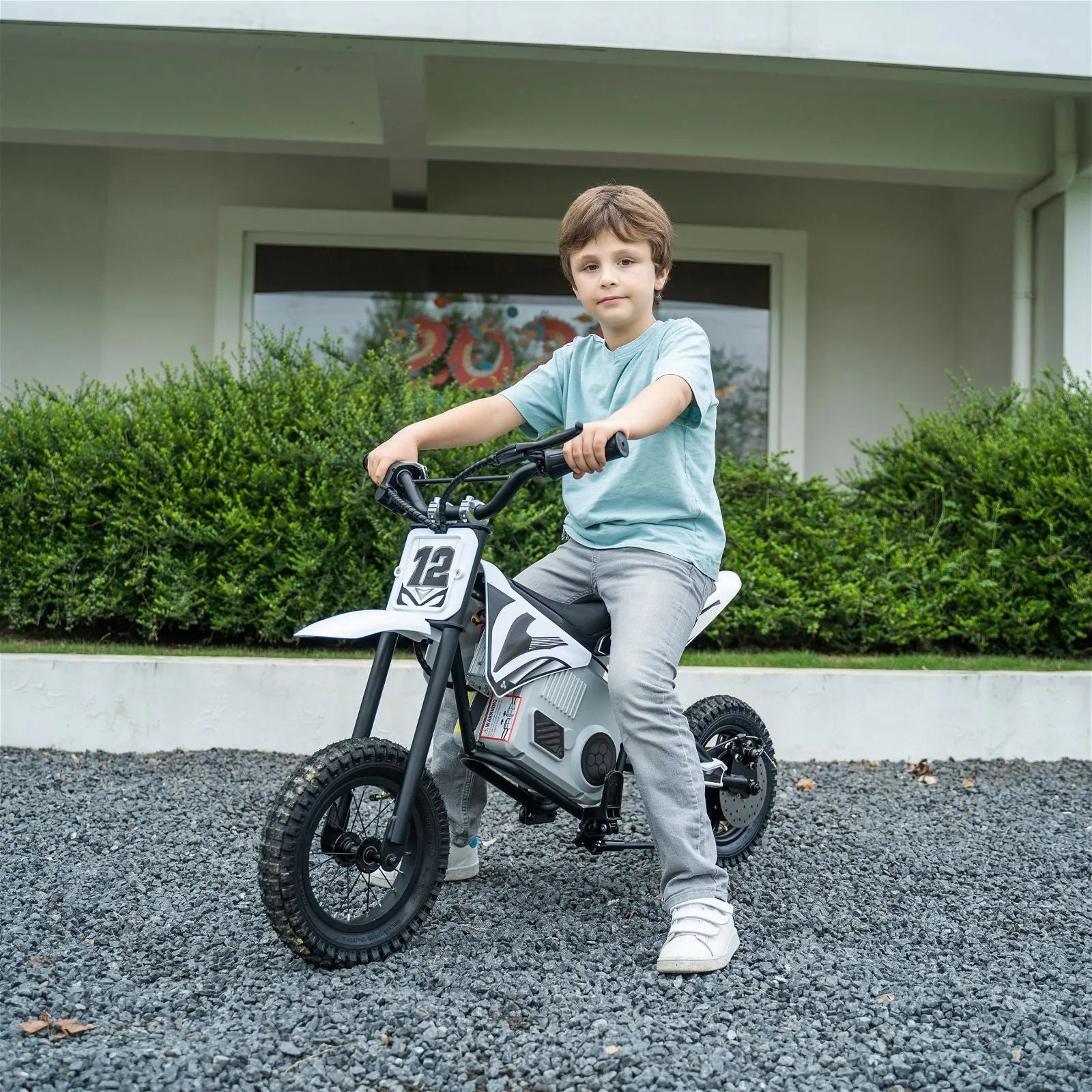 Freddo 36V Electric Dirt Bike with Brushless Motor
