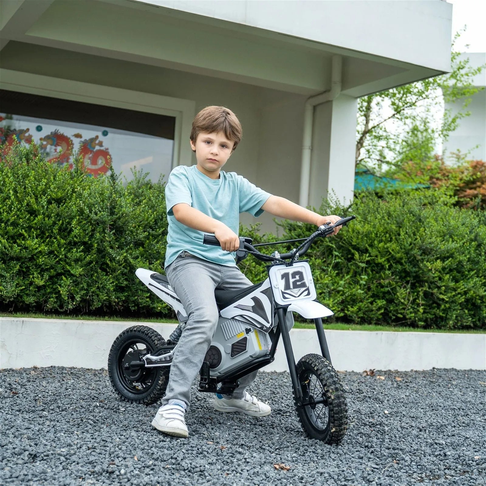 Freddo 36V Electric Dirt Bike with Brushless Motor
