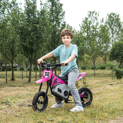 Freddo 36V Electric Dirt Bike with Brushless Motor