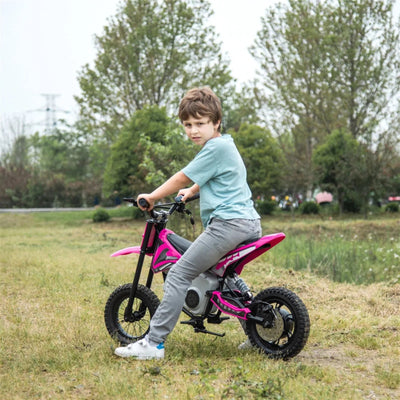 Freddo 36V Electric Dirt Bike with Brushless Motor