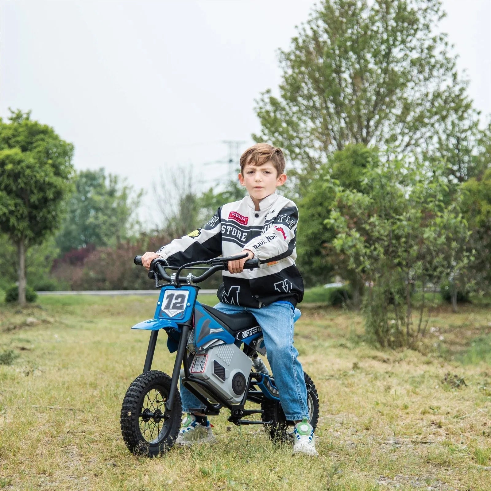 Freddo 36V Electric Dirt Bike with Brushless Motor