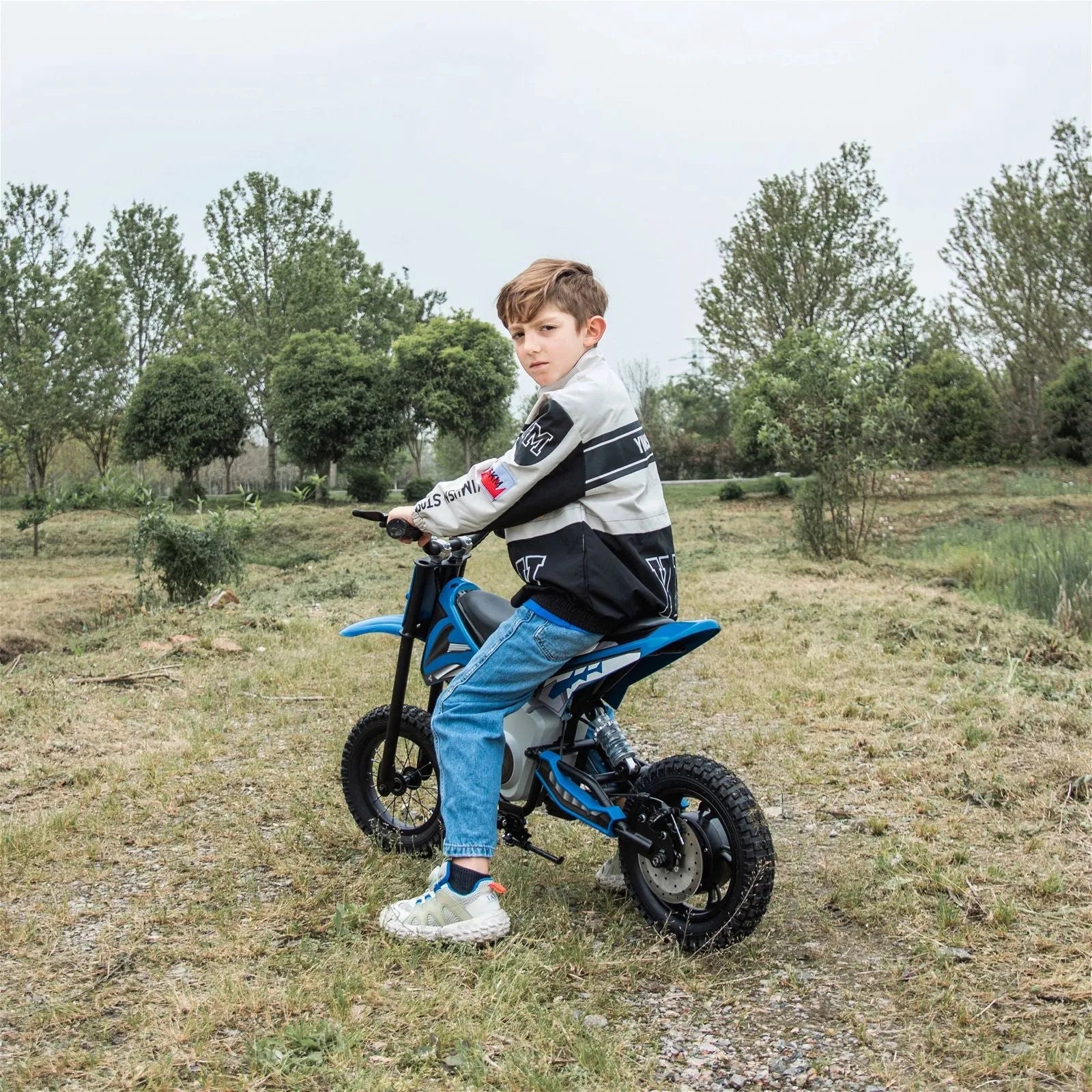 Freddo 36V Electric Dirt Bike with Brushless Motor