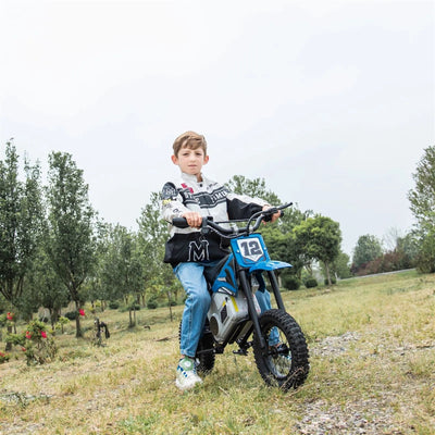 Freddo 36V Electric Dirt Bike with Brushless Motor