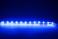 SSR Windjammer Lit Personalized Deluxe