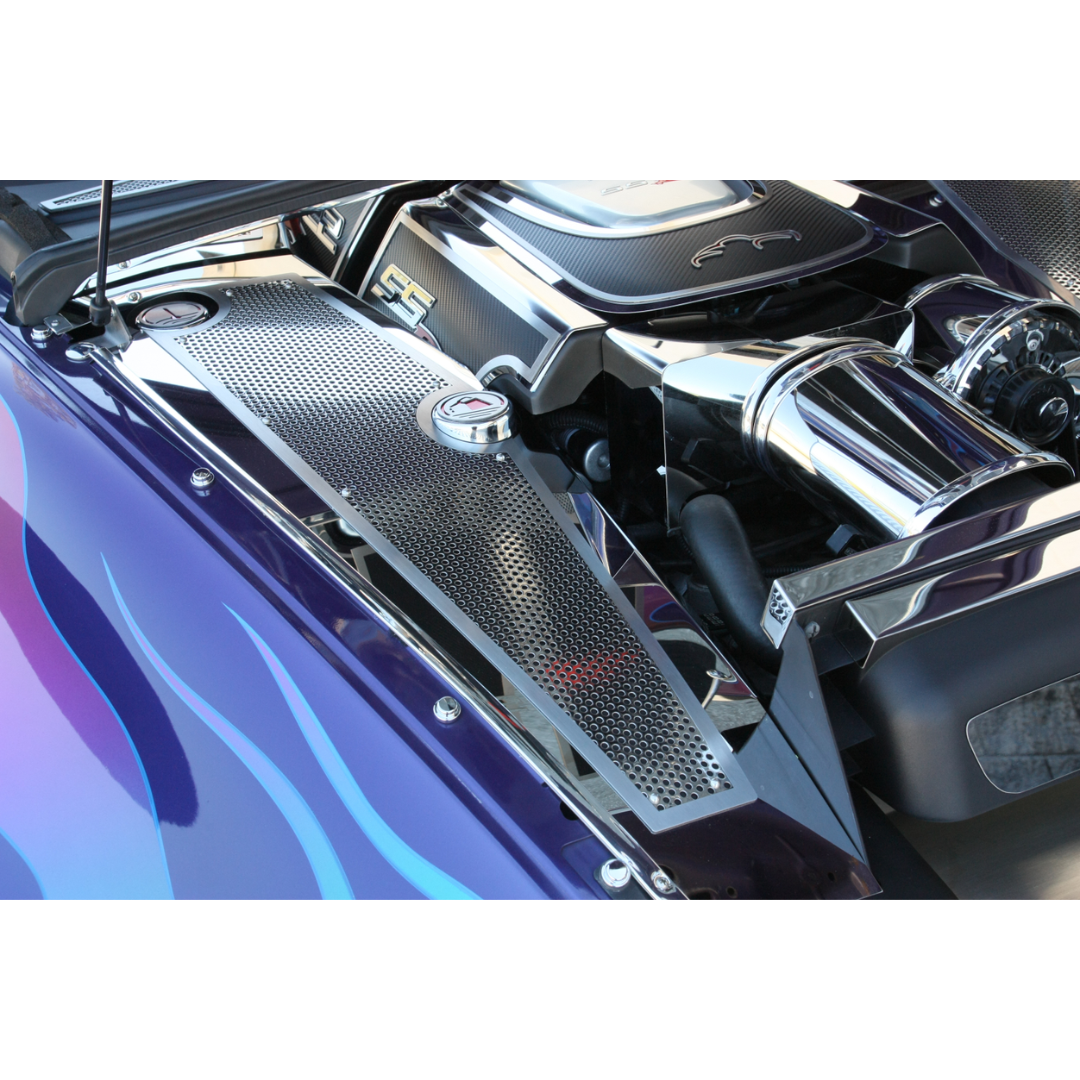 SSR Fuel Rail Covers Carbon Fiber Deluxe 2003-2004